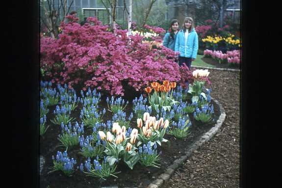 Keukenhof